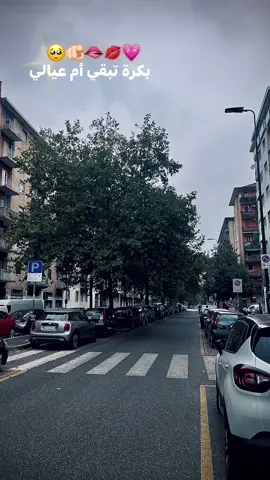 #مشاهدات #fyp #fypage #حبيبتي_وروحي🤍💕🤍 #fypp 