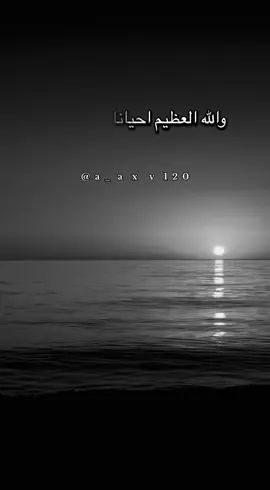 #أكسبلور_شعر_حكم_خواطر 