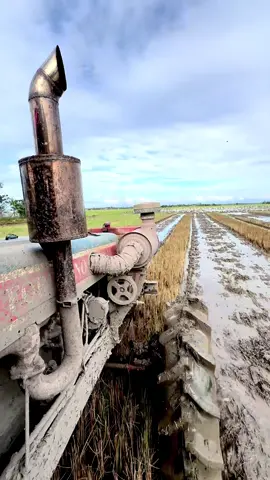 🥴#fordhino700 #fypシ゚viral 