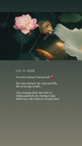 Xin chào tháng 11 ❤️