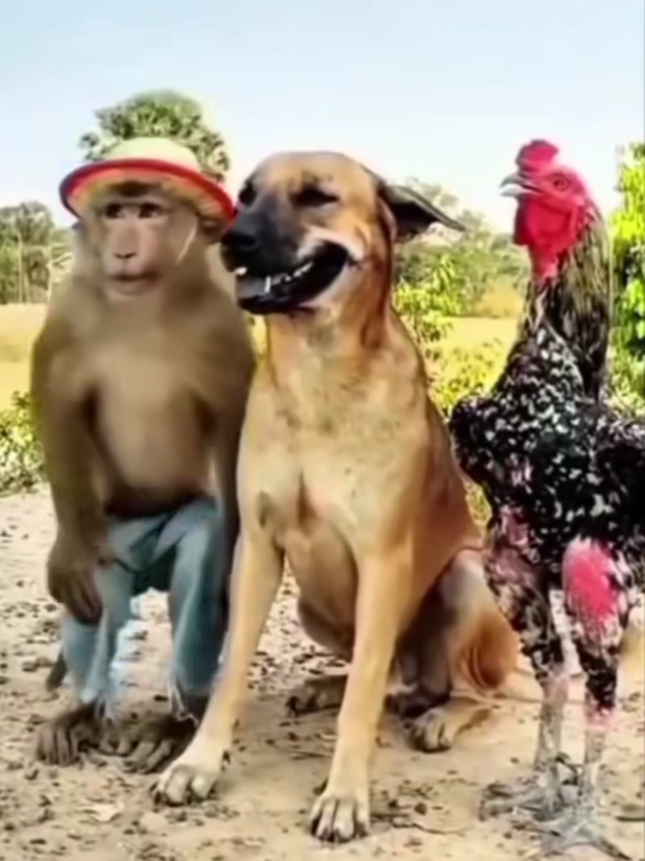 Pa picture sila;🤪🤣🤣#tiktokcomedy #shortcomedy #comedylife #funnyvideos #viralhumor @pinoy comedy 