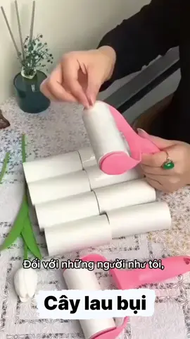 Cây lăn bụi #lanbui #fyyyyyyyyyyyyyyyy #xuhuong #lanbuiquanao #tienich 