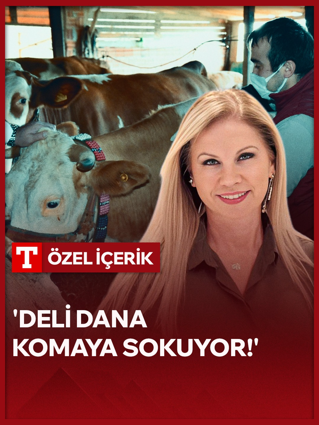 📍Deli dana hastalığı ölüme mi götürüyor? 📌Hastalık hakkında bilinmesi gerekenleri Türkiye Gazetesi Sağlık Editörü Ziyneti Kocabıyık anlattı. #delidanahastalığı