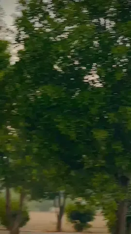 baba ❤️❤️❤️Nawab 🖤🖤🖤#Hassan #Naich❤️ #foryoupageofficiall #foryou #foryoupageofficiall 