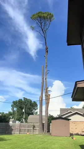 Kondisi terkini mushola PONPES Al Khoziny Sidoarjo ambruk saat salat ashar #jtvjember #evakuasi #sidoarjo #fyp