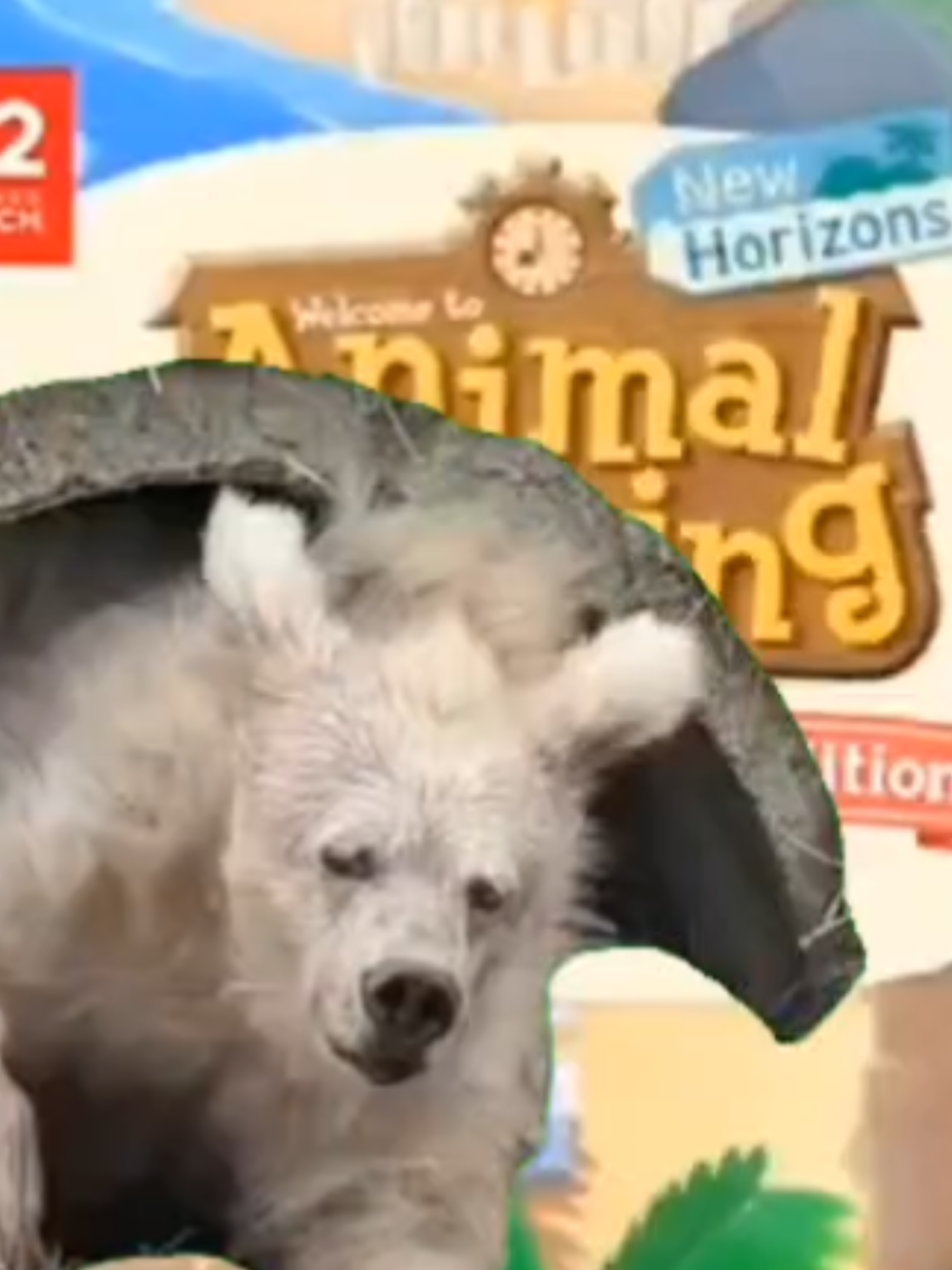 #acnh #animalcrossingmeme #animalcrossing #newhorizons #animalcrossingswitch 