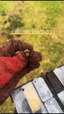 Metal detecting for old things. Tiny head tho 