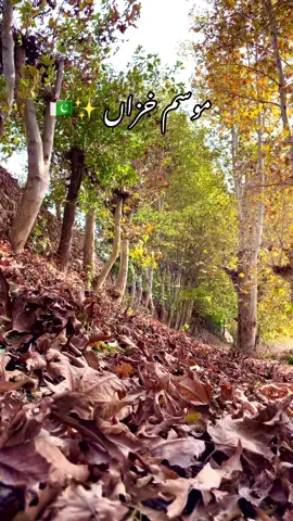 Part 172 / Khpl Watan / Dangila Valley 🏔️  . . . . . . . #foryou #parachinar #videoviral #foryoupage #greenscreen #dangilavalley #video #unfrezzmyaccount #fyp 