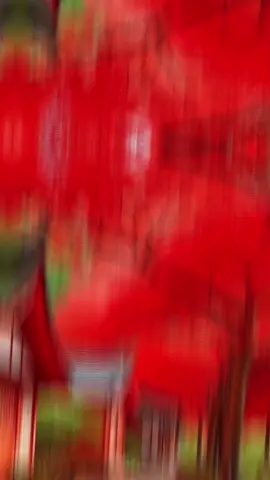 #تصميم_فيديوهات🎶🎤🎬 #حلات_واتس #كسبلوررررررررر #مليش_خلق_احط_هاشتاغات🙂 