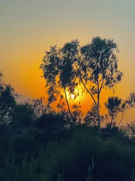 End 🥰🍁#fyp #foryoupage 