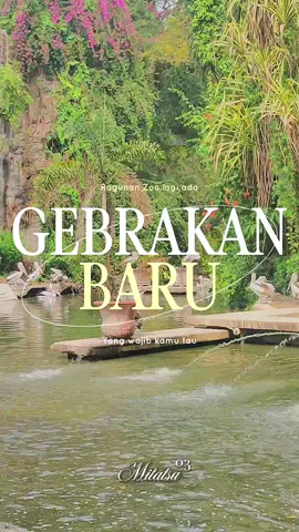 Kamu harus tau kalau sekarang di @ragunanzoo buka sampai jam 10 malam 😍 Tapi cuma di hari Sabtu aja yaa. Nah saran aku biar ngga kemalaman kamu bisa stay aja di @reddoorzid premium near Ragunan Zoo 2 😍  Selain deket sama Ragunan zoo hotel ini juga lengkap banget fasilitasnya. Termasuk ada waterheaternya juga loo. Kamu bisa leyeh leyeh disini setelah seharian explore Ragunan zoo 😍 Jangan lupa bookingnya lewat aplikasi @reddoorzid dan gunakan kode “YUKNGINEP” buat dapetin promo nya. source video overlay by @ragunanzoo  #Ragunanzoo #NightatRagunanZoo #explorejakarta #Reddoorz #reddoorzindonesia