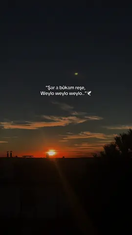 “Şаr а bûkаm reşe,weylo weylo weylo..”🕊️🌹  #meralsimsekk1 #storylikvideolar #storylikşarkılar #fyppp 