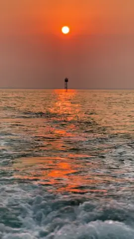 بعضهم يأتي صدفه بهدوء يشبه النسيم ثم يستوطن قلبك وكأنه مولدٍ فيه. ##explor #viral 