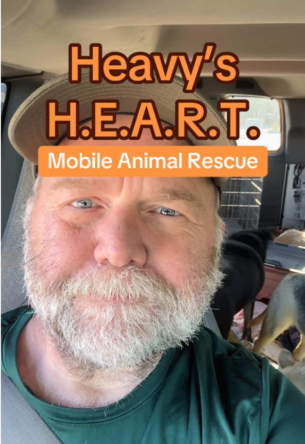 #501c3 #animal #Rescue #adoptdontshop #Love 