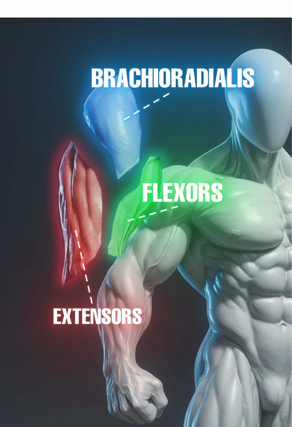 One dumbbell. Four moves. Complete forearm growth. 💪 #fitonomy #fitonomycoach #forearmworkout #armtraining #gripstrength       