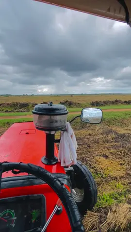 වැස්සෙම🥲🌧💗#fypシ゚ #ගොවිතැන🌾🌥 #foryou #මැෂින්_පිස්සෝ #viralvideo 