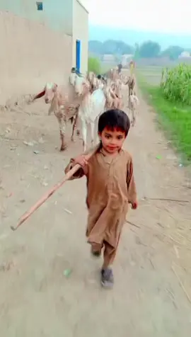 #trending #foryoupage #tiktok #viralvideo #foryou 