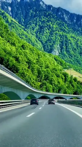 viral for you@🌹🌹🌹🌹🌹♥️♥️♥️♥️♥️♥️🌻🌻🌻🌻🌻🚗🚗🚗💯💯🥀🥀