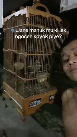 Lek kadung tangi jan marai bingung pak dhee.#fyp #mulyonobasuki #kicaumania 