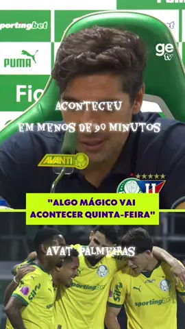 #manchas #palmeirasoficial #palmeirasmilgrau #palmeirasnotiktok #maiorcampeãodobrasil 