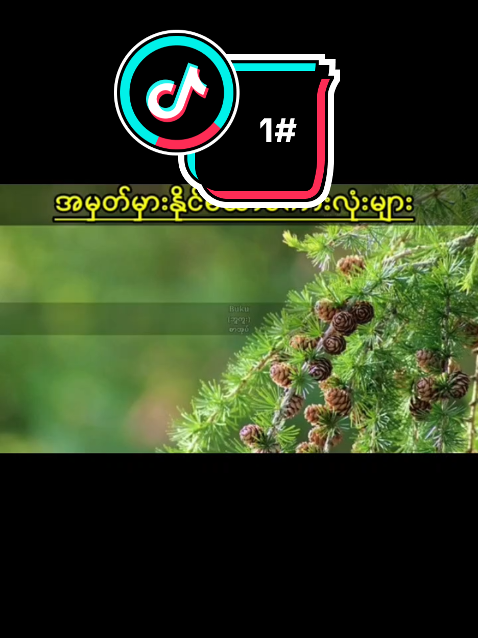 #crdစာသား #မူရင်းအားလေးစားလျှက်ပါ🙏🙏🙏 🇲🇾🇲🇲 မှားနိုင်သောစကားလုံးများ