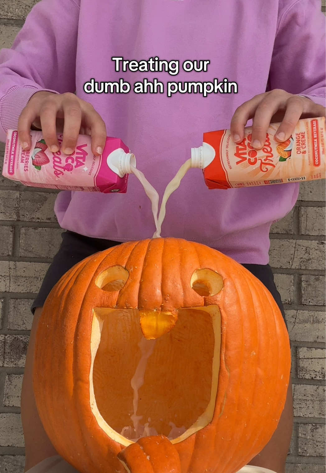 Pumpkins need Treats too 🧡🩷 #fyp #vitacocotreats #vitacoco #halloween #pumpkinseason 