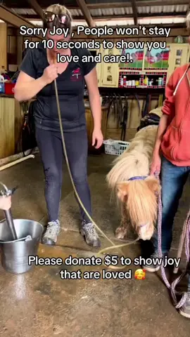 #aquadulu #savedfromslaughter #aquadulu #savedfromslaughter #savedfromslaughter 