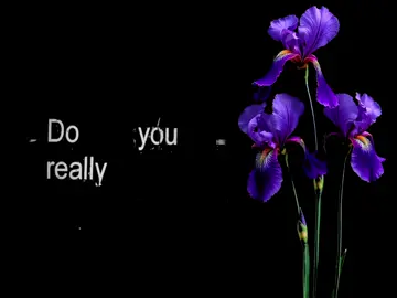 #speedsong #speedupsongs #nightcore #lyrics #fyp  @speed songs | lyrics 