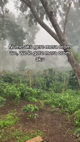 #katakatagayo #katagayo #lagugayo #berandagayo #gayo 