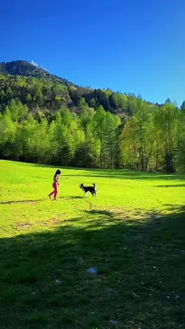 Nature, kids, animals>>>  #dontstress #nature #fyp #alps 