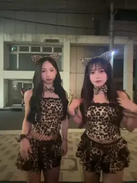 猫ちゃん🐾🤎 #fyp #ljk #halloween #happyhalloween 