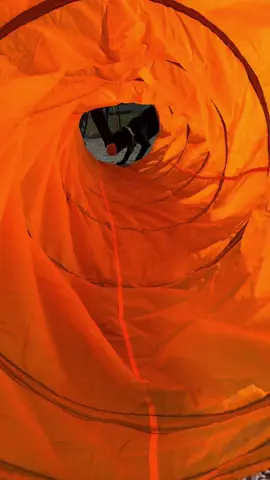 Our daycare pups braved the Haunted Agility Course yesterday 🎃🐾 Between witches’ hat cones and spooky tunnels, they showed off their best tricks and had a blast doing it! 👻🧙‍♀️
