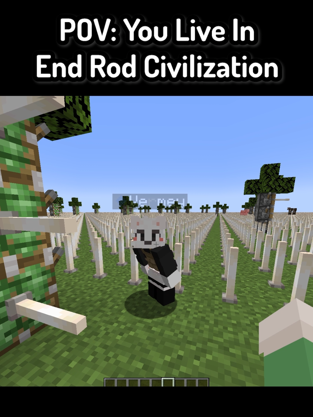 POV: You Live In End Rod Civilization In Minecraft ( FT: @Vermey ) #Minecraft #funnymoments #mc #mcyt #minecraftmemes 