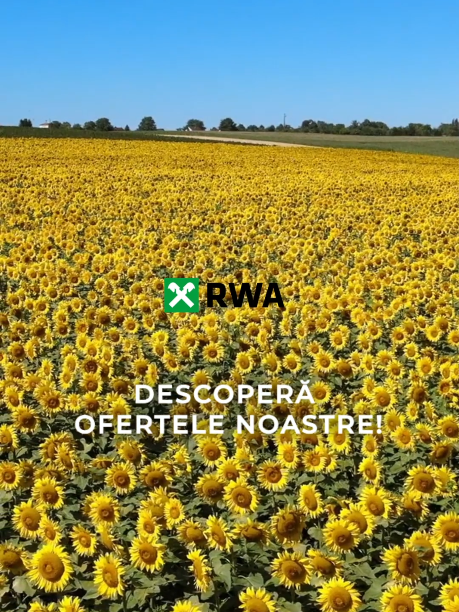 🚜 Am dat startul campaniei de Early Sales pentru primăvară – porumb și floarea-soarelui. 🌽 E perioada perfectă să-ți planifici din timp necesarul pentru culturile de primăvară. Alegi ce ai nevoie, știi exact ce buget aloci, îți gestionezi mai ușor cheltuielile și eviți prețurile din sezon. ✅ Ai acces la întreg portofoliul de hibrizi RWA ✅ Poți face rezervări din timp, în condiții avantajoase ✅ Primești sprijin direct de la colegii noștri din teren – fără pierdere de timp, fără estimări la ghici 🌱 Early Sales la RWA Raiffeisen Agro România înseamnă predictibilitate. 🌱 Tu știi deja ce cauți, noi suntem aici ca să te ajutăm să faci alegerile potrivite – simplu, clar, eficient. 📞 Ia legătura cu reprezentantul regional RWA Raiffeisen Agro România.