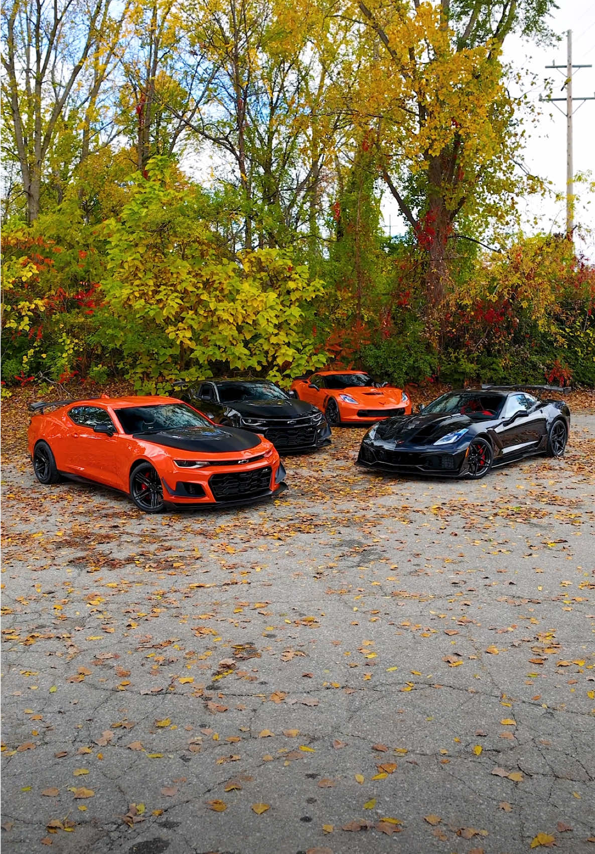 Happy Halloween 🎃👻