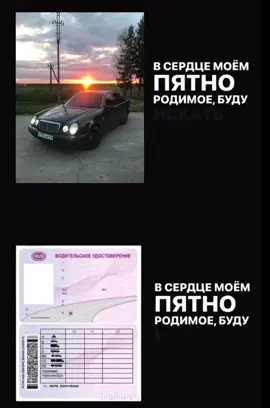 #лупарик #права #машина #рек #fyp 