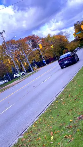 Jimco Mubarak ❤️#foryoupage❤️❤️ #somalitiktok #foryoupage❤️❤️ 