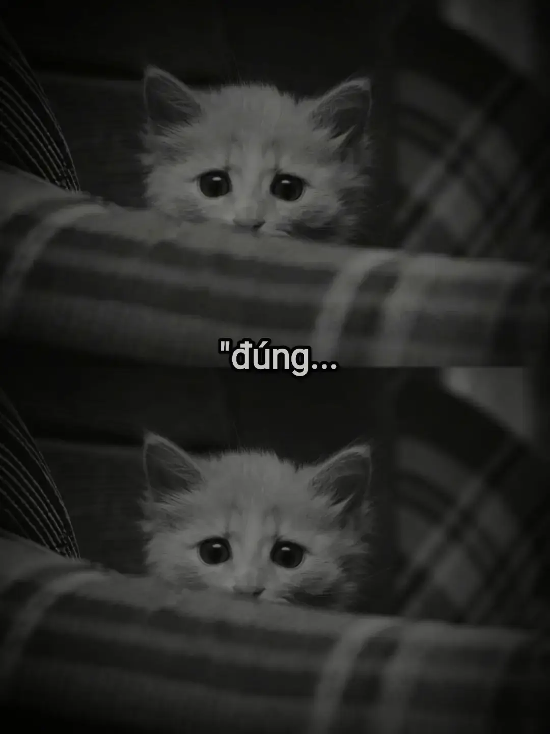 #ebelongne #tinhyeu #tamtrangbuon #xuhuongtiktok #buon 