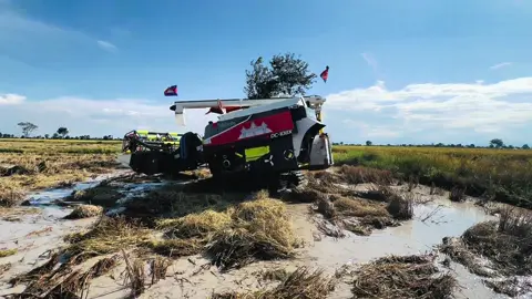 កម្ពុជា លិចមួយបាត់ហើយ…🇰🇭🙂‍↔️#fypシ゚ #កូនអ្នកកំពង់ធំ #ក្រុមម៉ាសុីនច្រូតស្រូវកម្ពុជា🌾🇰🇭 