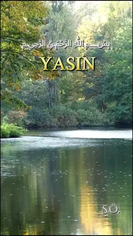 Selamün kavlen mir Rabbin rahim