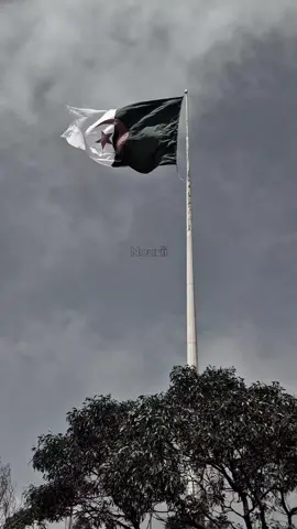 ذكرى 1 نوفمبر 1954 [إندلاع الثورة ] 🇩🇿  #تحيا_الجزائر  #1_نوفمبر_1954  #علم#santacruz  #4k 