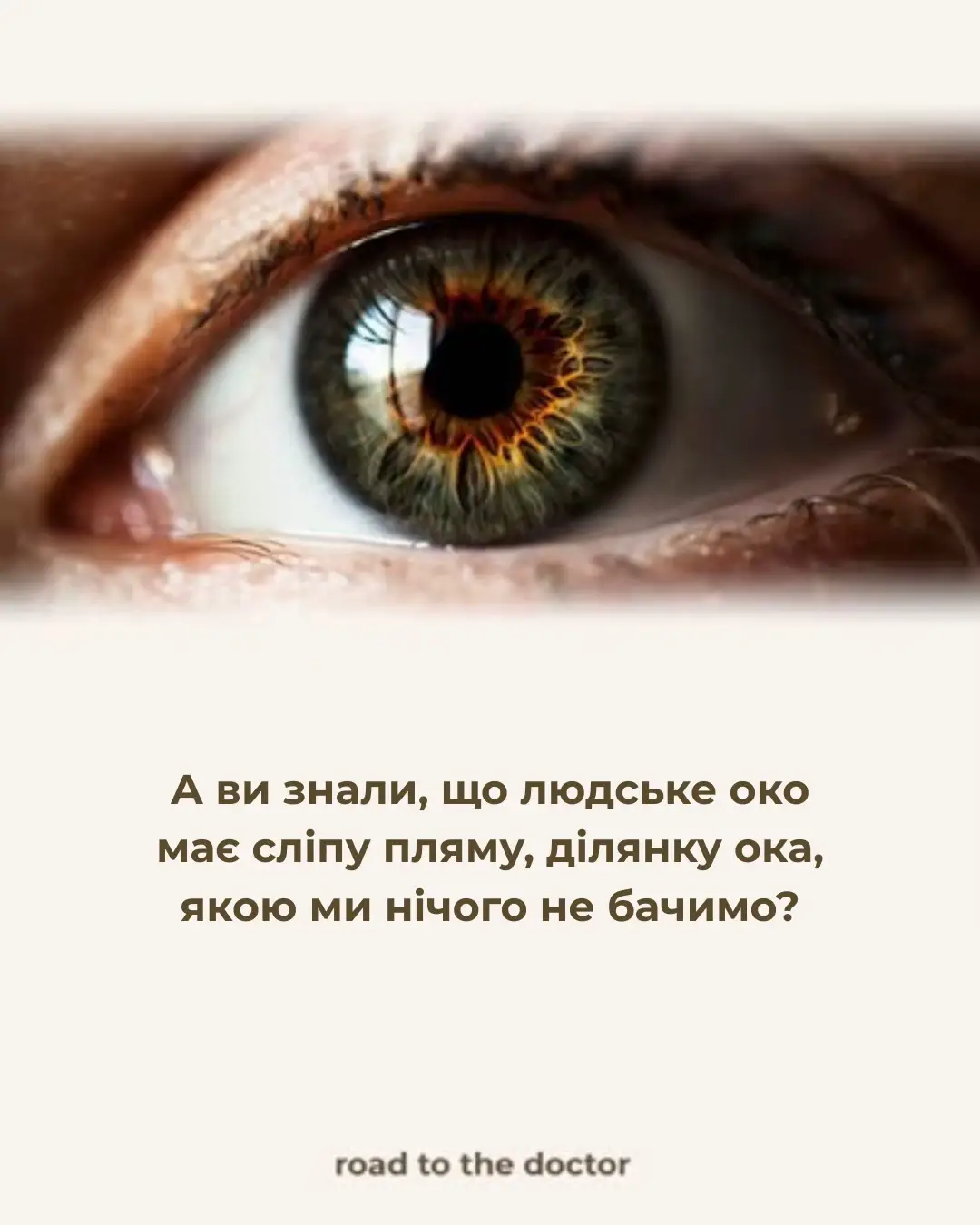 👁 Чи знали ви, що в кожного з нас є сліпа пляма? Це ділянка сітківки, де немає фоторецепторів — саме там виходить зоровий нерв. Мозок «домальовує» відсутню частину зображення, тому ми навіть не помічаємо, що бачимо неповну картинку. 📚 На платформі ROAD TO THE DOCTOR ти знайдеш ще більше таких цікавих фактів і пояснень, які допомагають краще розуміти анатомію та фізіологію ока. #roadtothedoctor #анатоміяока #сліпапляма #медицинаукраїна #студентмедик  