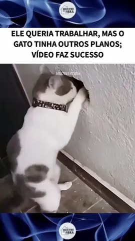 ajudante de hoje é diferenciado 