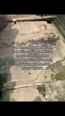 dadi arek lanang kudu kuat #galaubrutal #fyp #4u #storytime #jowostory 