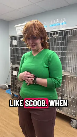 halloween fun at LOLAH #halloween #scoobydoo 