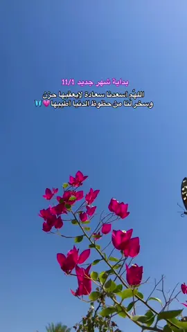 1/11/2025  بدايه شهر جديد💗🦋 #بدايه_شهر_اللهم_اكتب_لنا_في_خيراً #شهر_نوفمبر #ستوريات 