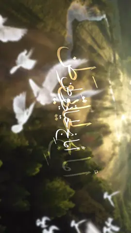 يازهراء مددي 💔 . . #ذو_الفقار_الكعبي  #explore #viral #ياحسين #قصايد 