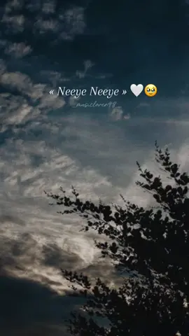 நீயே நீயே🤍✨#vibe #dhanush #tamil #fyp #Love 