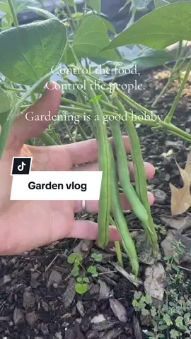 Garden vlog of the day 🌱 Gardening is a lost skill to so many. Learn to garden. Practice it as a hobby. Eventually you learn what works in your area. The satisfaction cannot be put in to words properly. Providing for your family from the seed and the earth is how it all started. God planned it out in the beginning. @Jason Goodson  #gardenlife  #selfsufficiency #countryliving #rurallife #slowliving 
