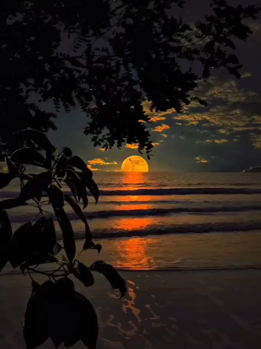 لا تطيل النظر في اشياء تتمنى ان تكون لك... #اقتباسات_عبارات_خواطر  #كلام_من_ذهب☑ #تحفيزية  #اعادة_النشر🔃 #ليك_متابعه_فولو_اكسبلور_دعم_فديتكم 